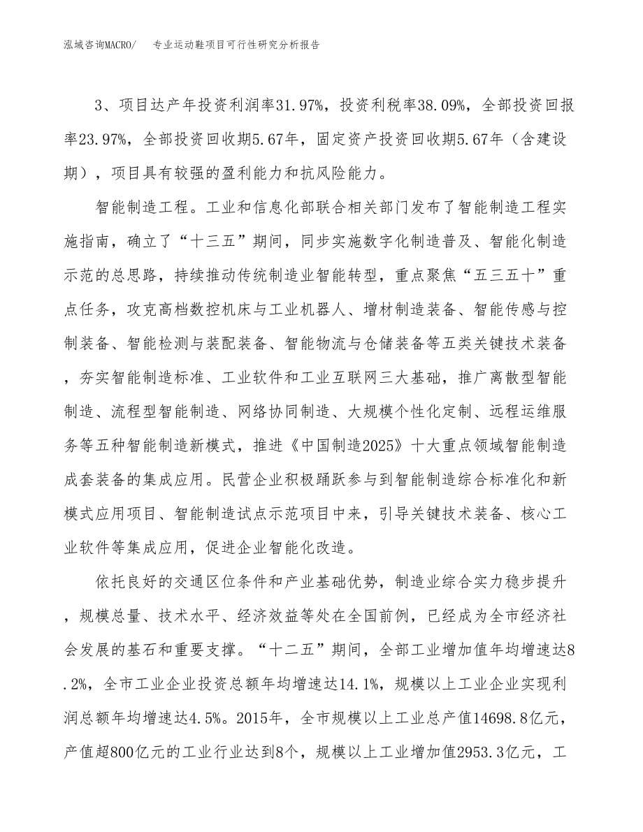 项目公示_专业运动鞋项目可行性研究分析报告.docx_第5页