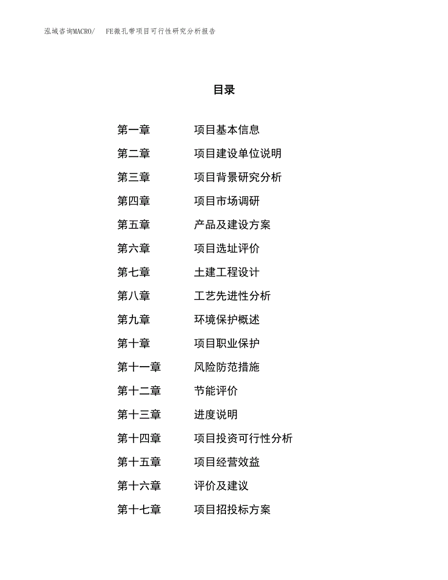 项目公示_FE微孔带项目可行性研究分析报告.docx_第1页