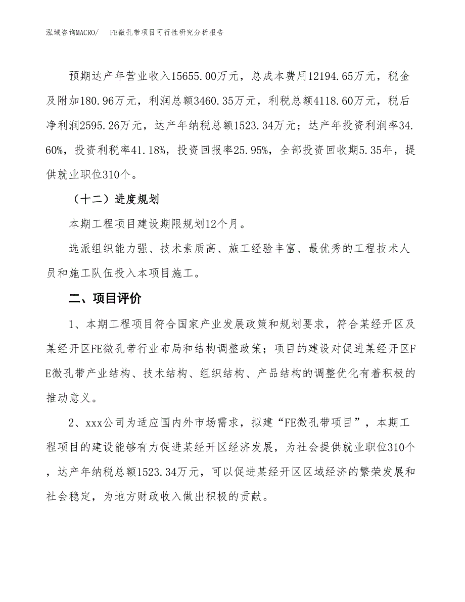 项目公示_FE微孔带项目可行性研究分析报告.docx_第4页