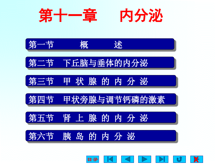 内分泌系统(生理ppt)_第1页