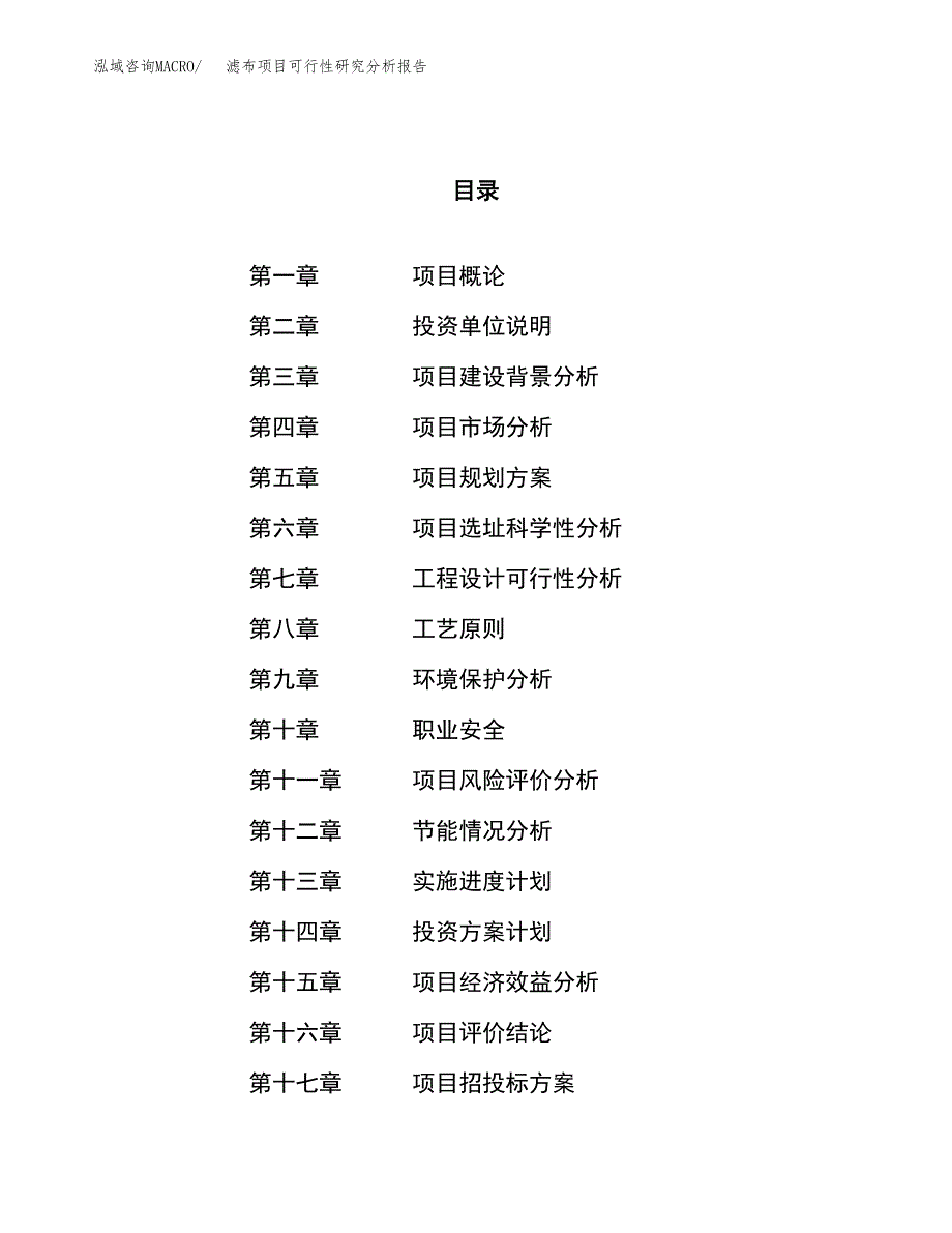 项目公示_滤布项目可行性研究分析报告.docx_第1页