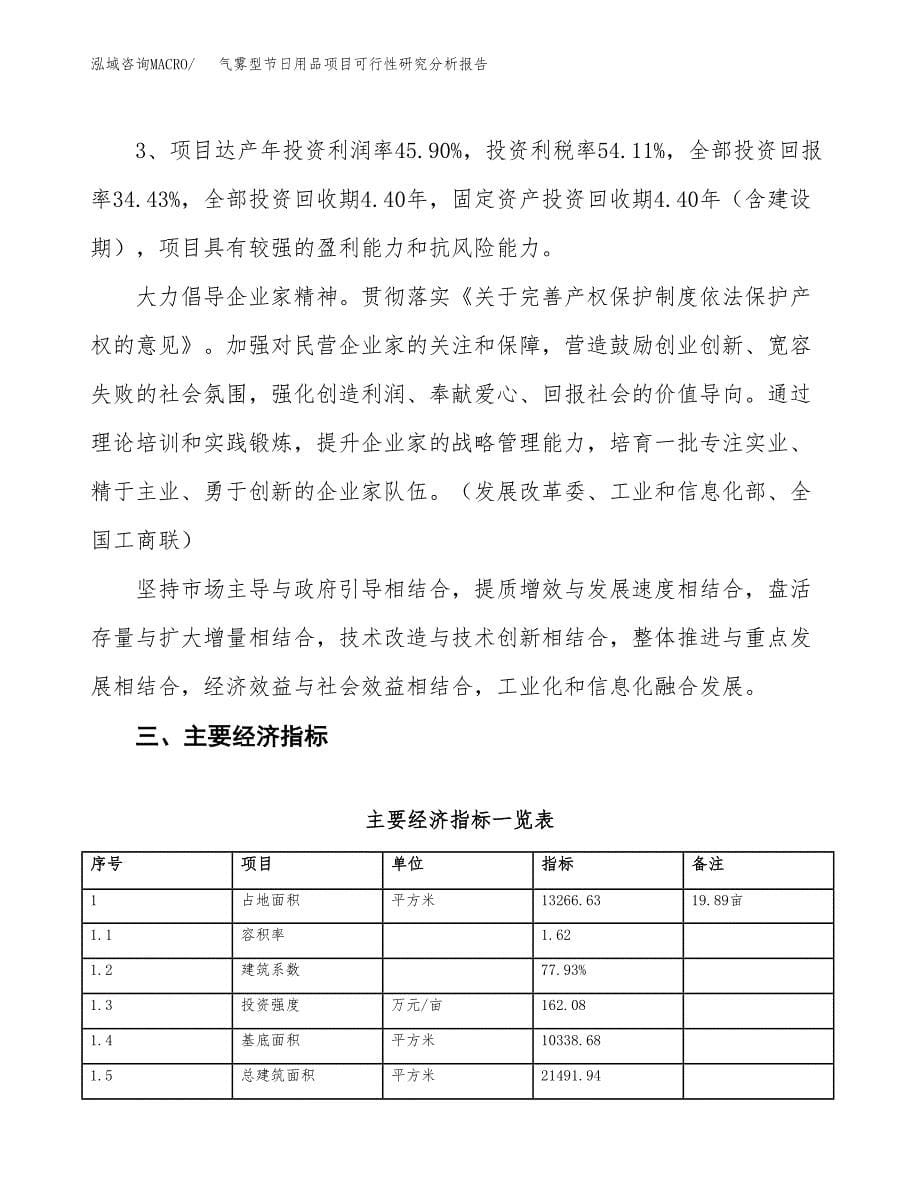 项目公示_气雾型节日用品项目可行性研究分析报告.docx_第5页