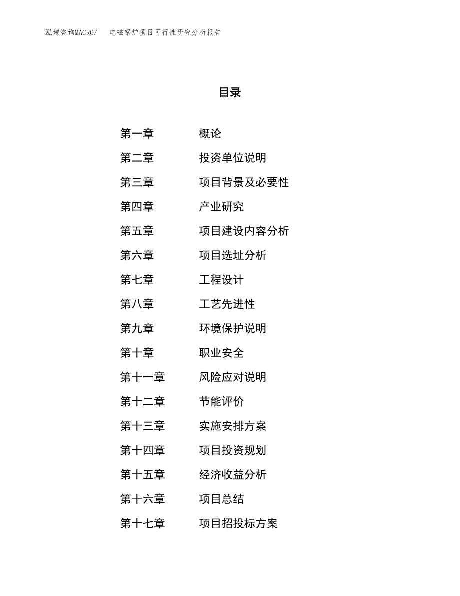 项目公示_电磁锅炉项目可行性研究分析报告.docx_第1页