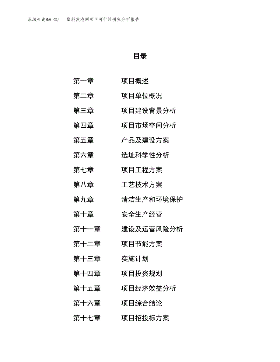 项目公示_塑料发泡网项目可行性研究分析报告.docx_第1页