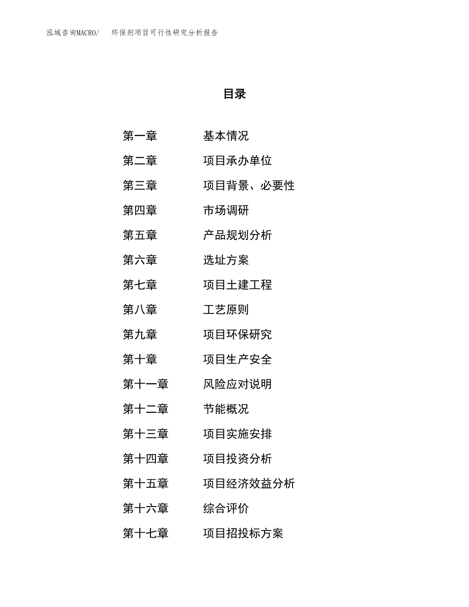 项目公示_环保剂项目可行性研究分析报告.docx_第1页