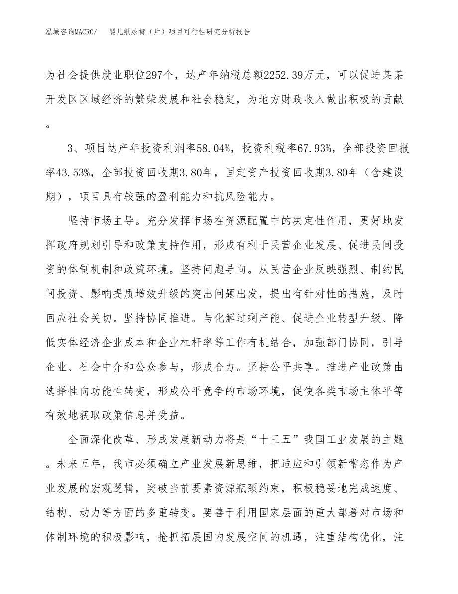 项目公示_婴儿纸尿裤（片）项目可行性研究分析报告.docx_第5页