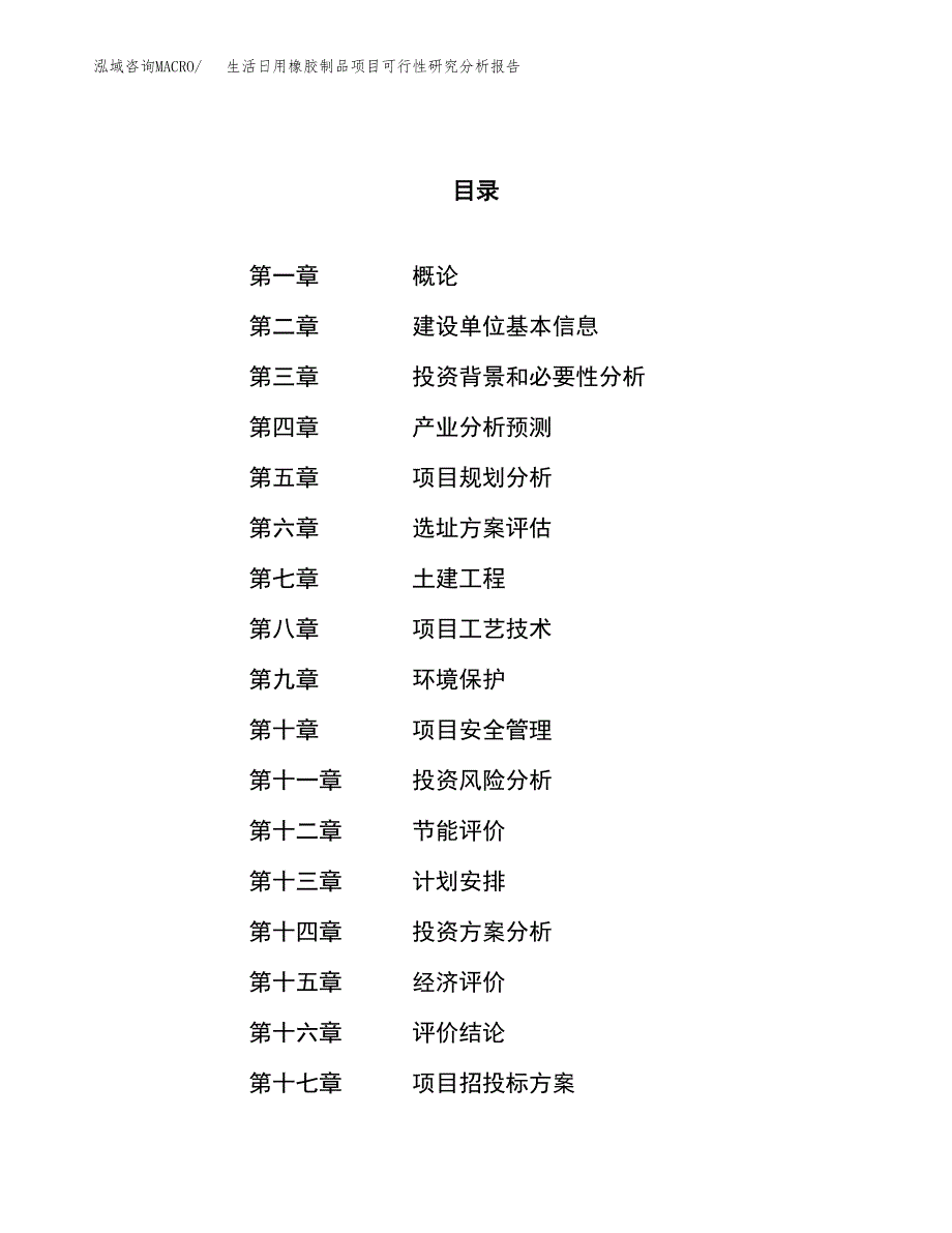 项目公示_生活日用橡胶制品项目可行性研究分析报告.docx_第1页