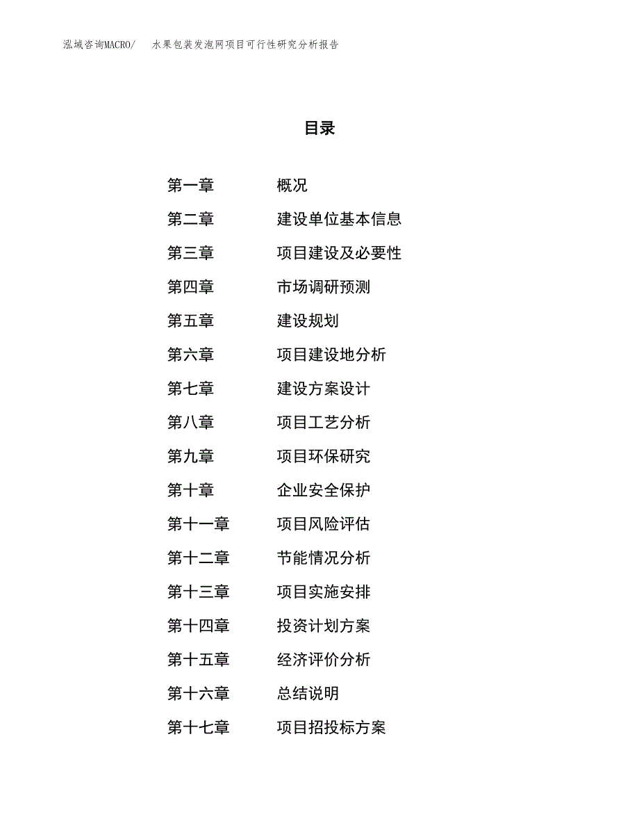 项目公示_水果包装发泡网项目可行性研究分析报告.docx_第1页