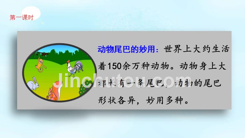 部编人教版一年级语文上册6《比尾巴》课件_第3页