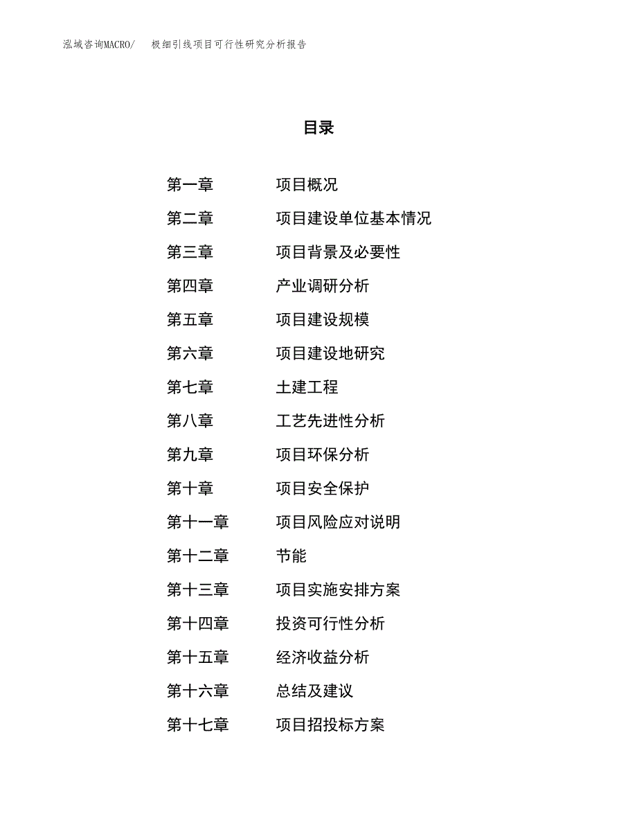 项目公示_极细引线项目可行性研究分析报告.docx_第1页