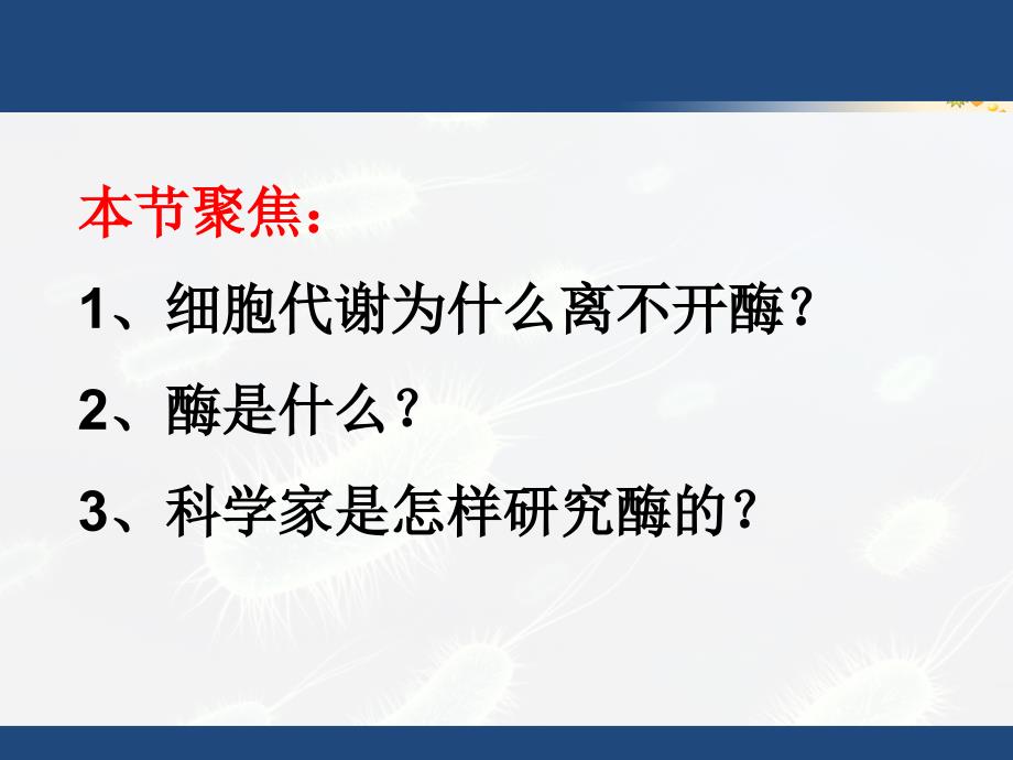 降低化学反应活化能的酶刘_第1页