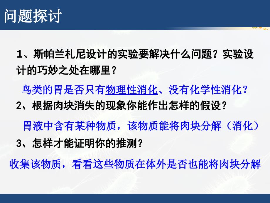 降低化学反应活化能的酶刘_第2页