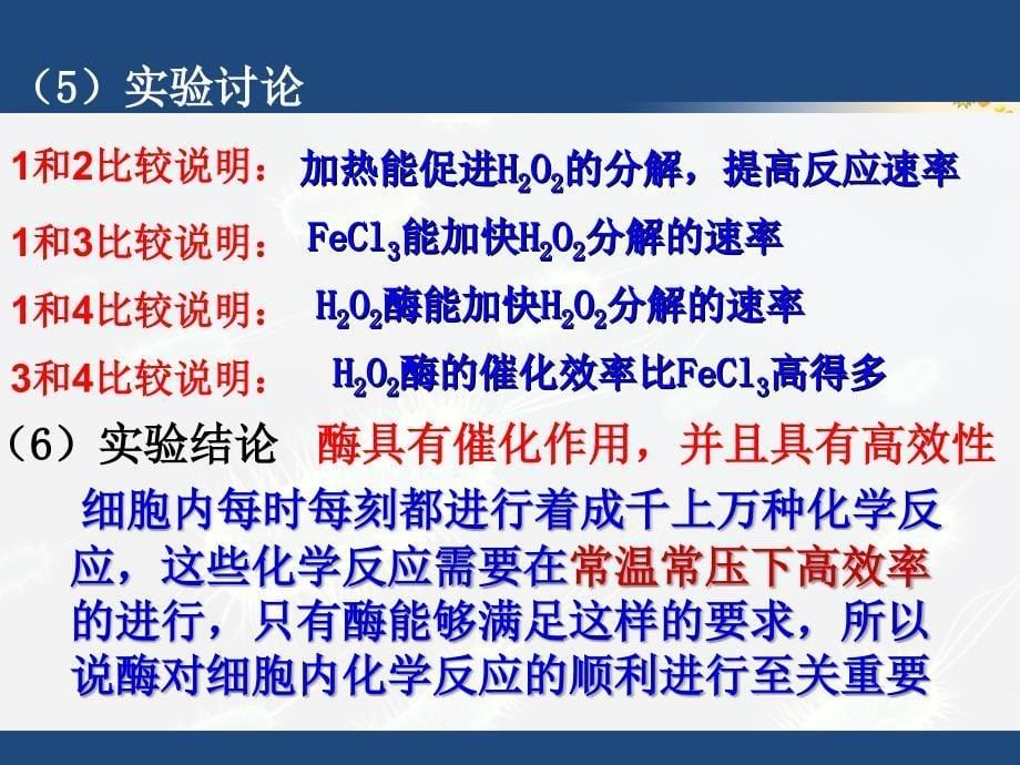 降低化学反应活化能的酶刘_第5页