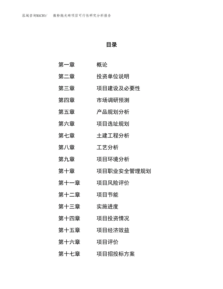 项目公示_微粉抛光砖项目可行性研究分析报告.docx_第1页