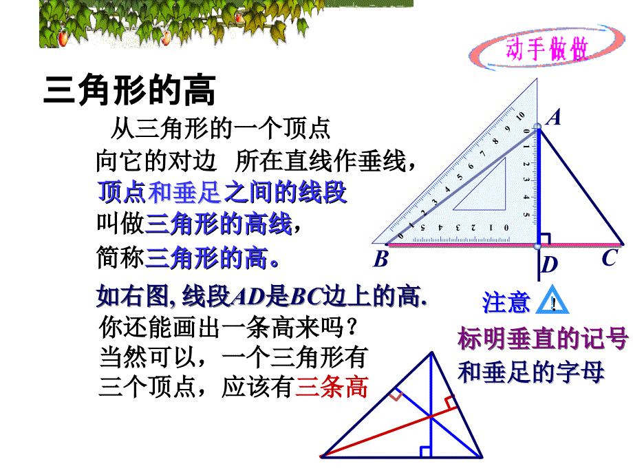 八年级数学三角形的高,中线与角平分线_第4页