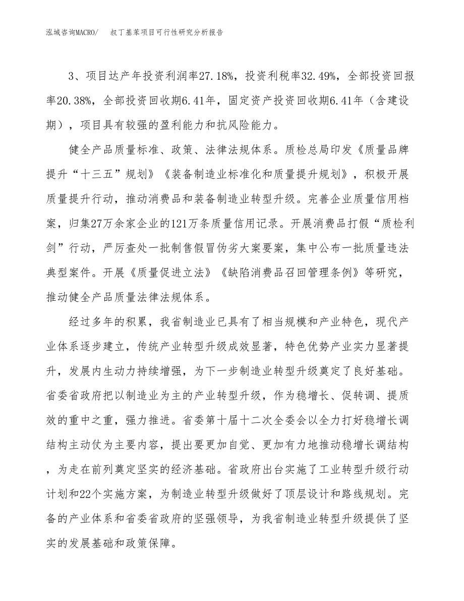 项目公示_叔丁基苯项目可行性研究分析报告.docx_第5页