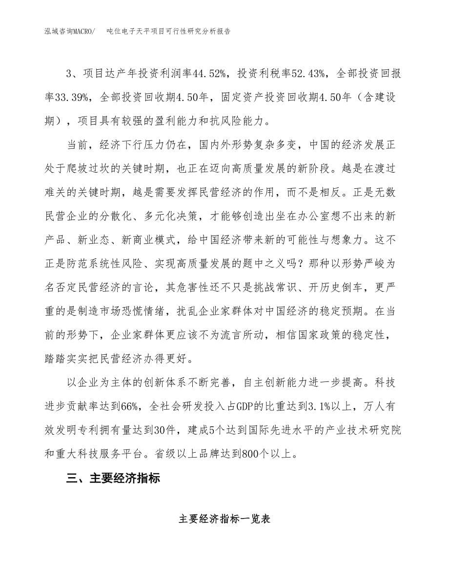 项目公示_吨位电子天平项目可行性研究分析报告.docx_第5页