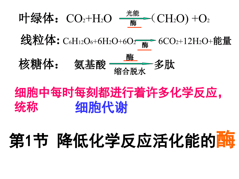 降低化学反应活化能的酶酶的作用和本质件_第3页