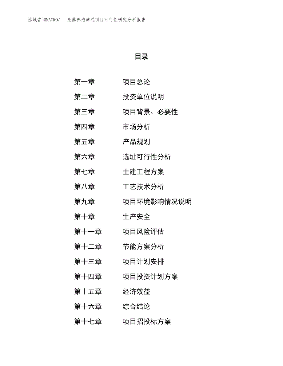 项目公示_免蒸养泡沫混项目可行性研究分析报告.docx_第1页