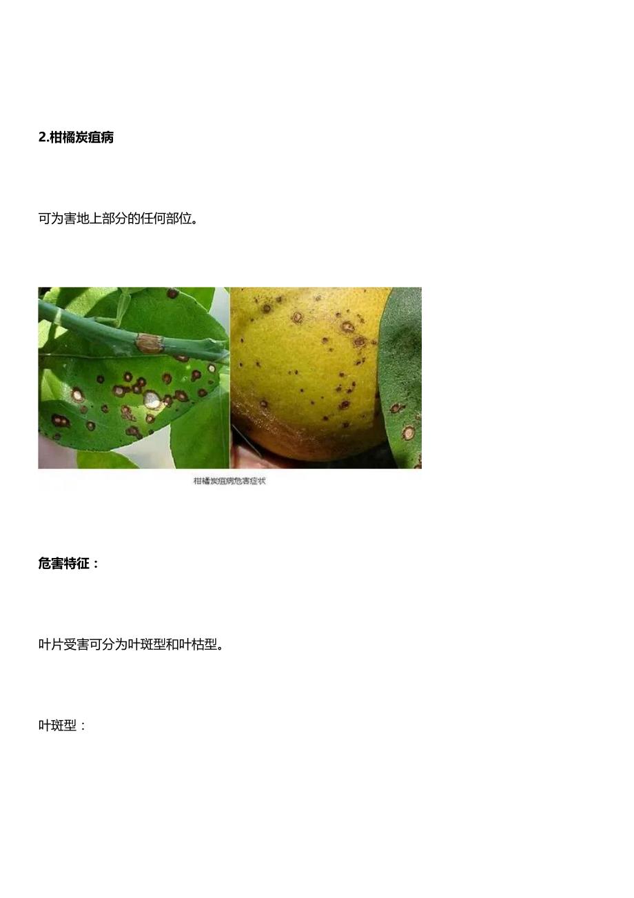 柑橘病虫害(图谱大全)_第4页