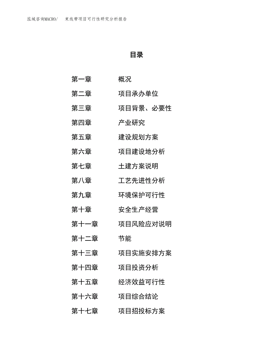 项目公示_束线带项目可行性研究分析报告.docx_第1页