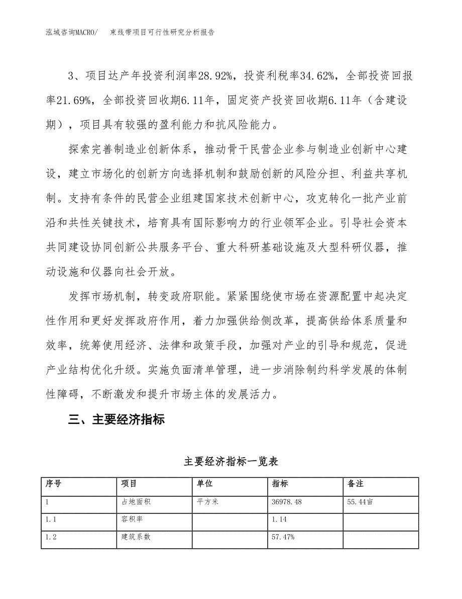 项目公示_束线带项目可行性研究分析报告.docx_第5页