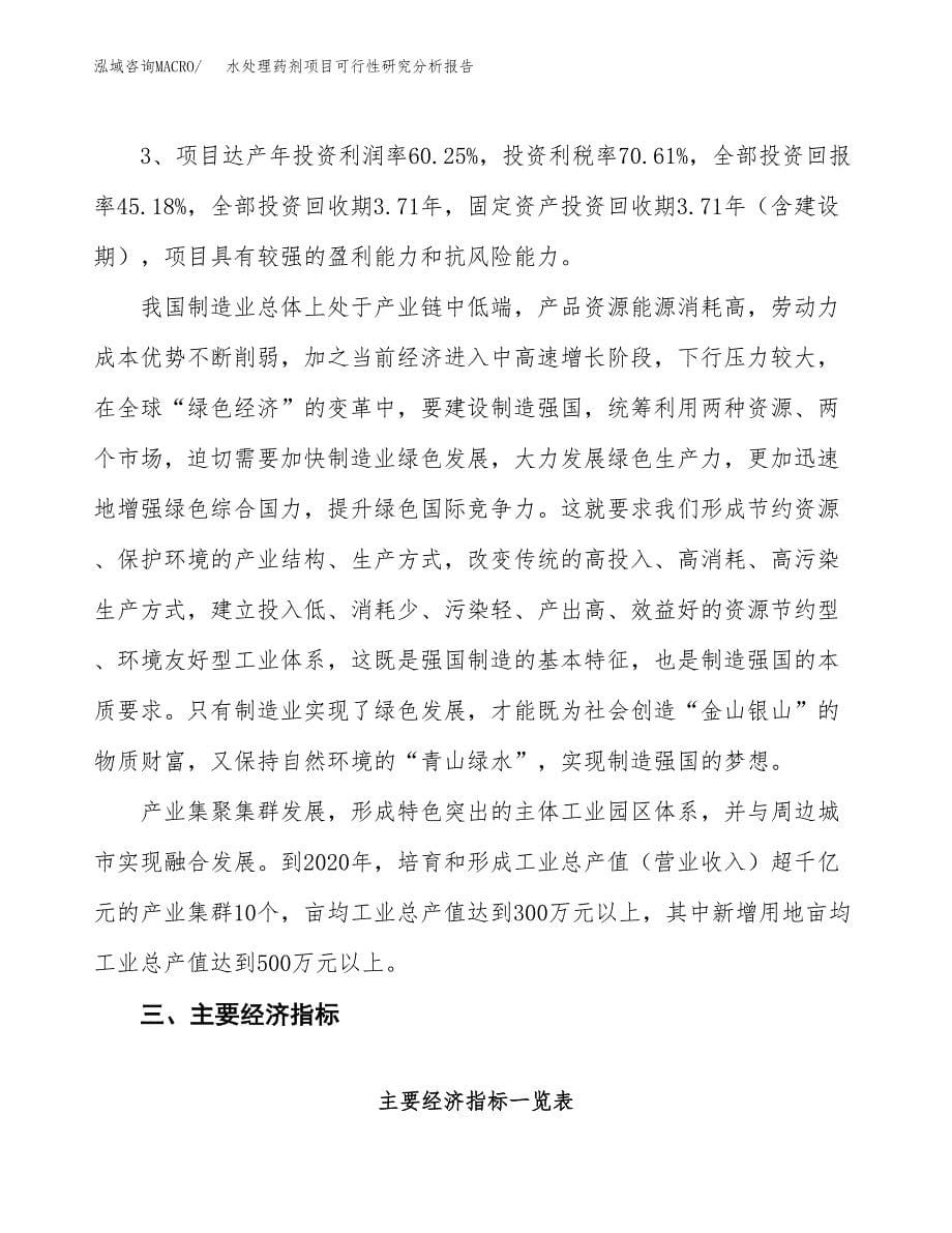 项目公示_水处理药剂项目可行性研究分析报告.docx_第5页