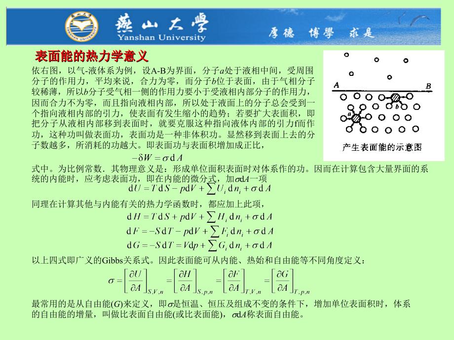 11界面热力学热力学与动力学.ppt_第3页