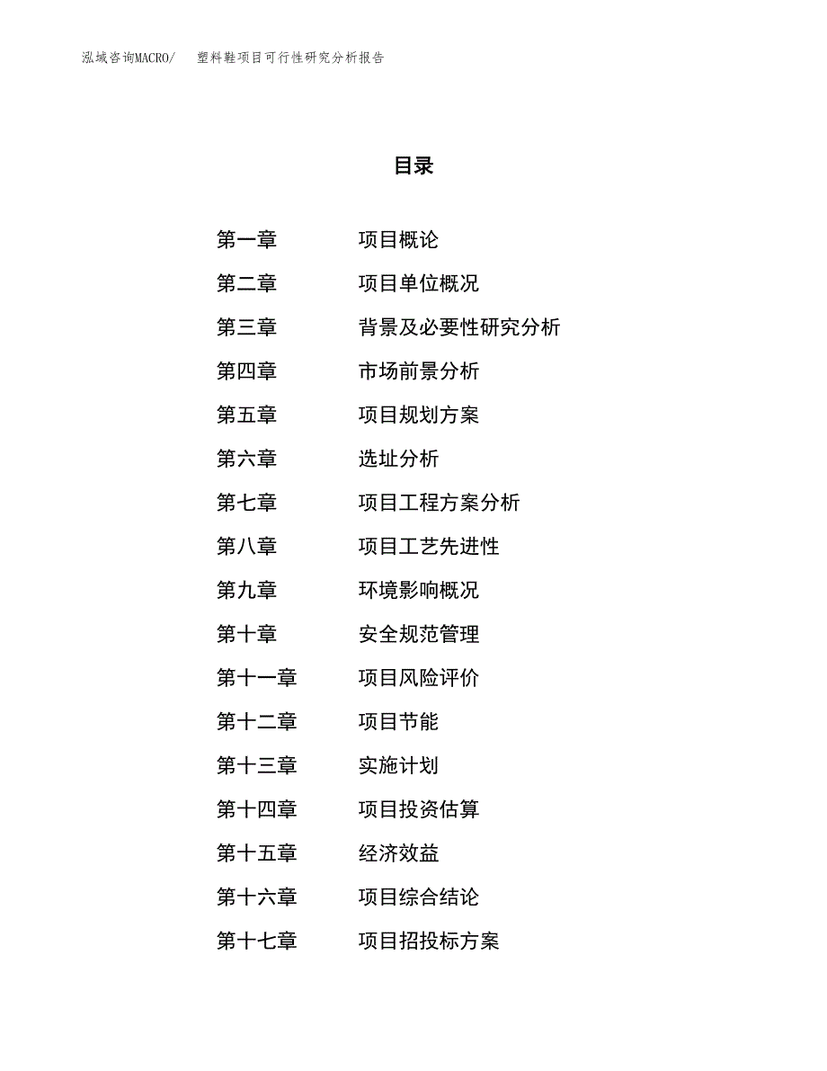 项目公示_塑料鞋项目可行性研究分析报告.docx_第1页