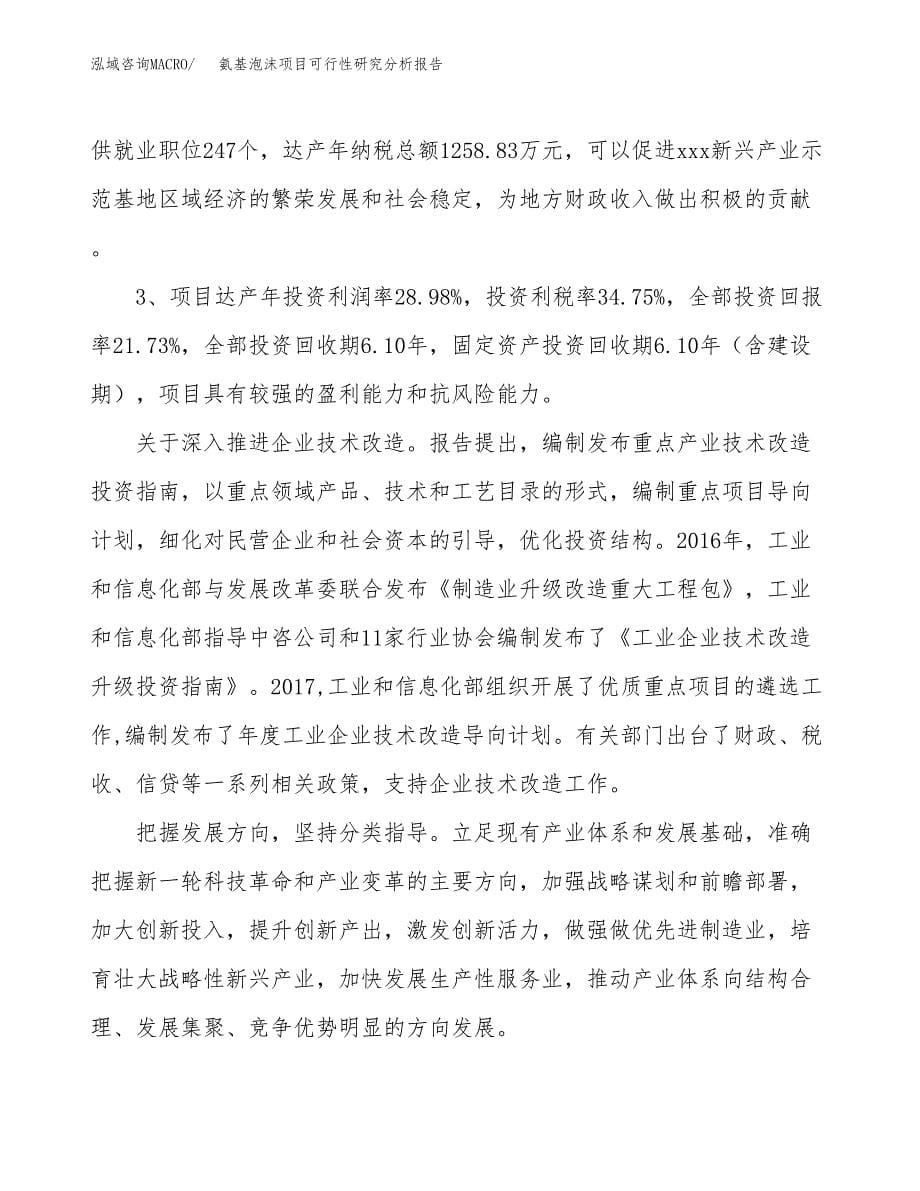 项目公示_氨基泡沫项目可行性研究分析报告.docx_第5页