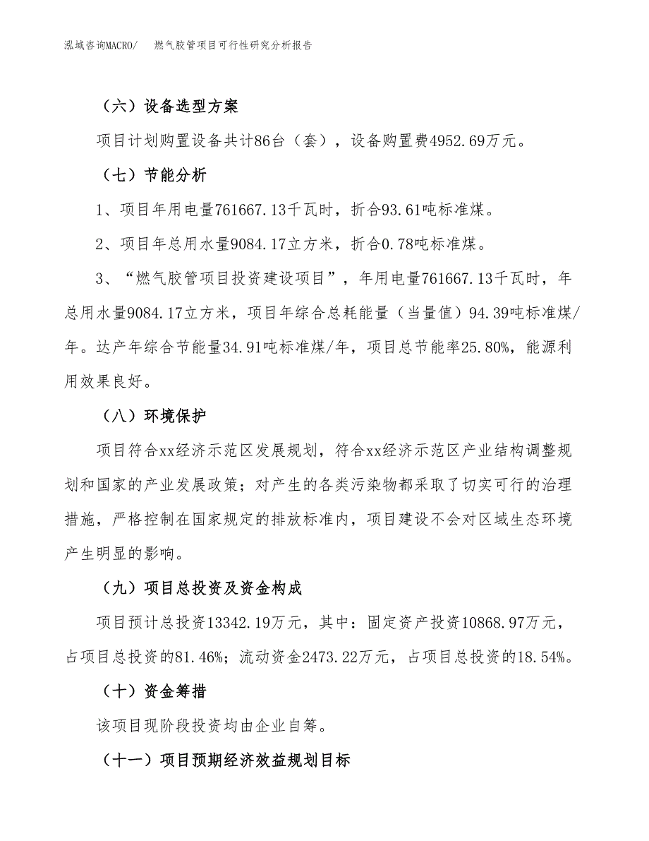 项目公示_燃气胶管项目可行性研究分析报告.docx_第3页