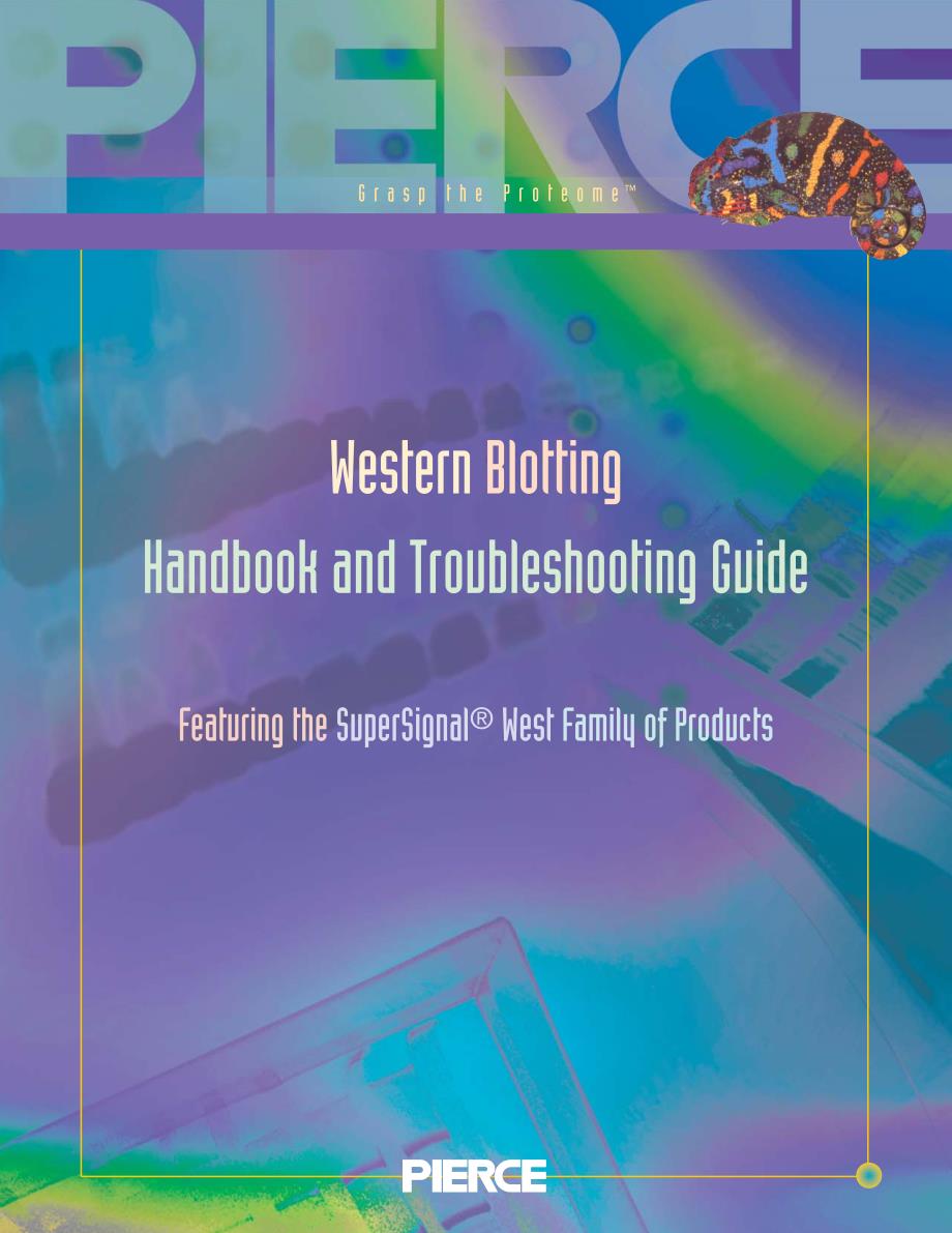 western blotting技术手册以及常见错误_第1页
