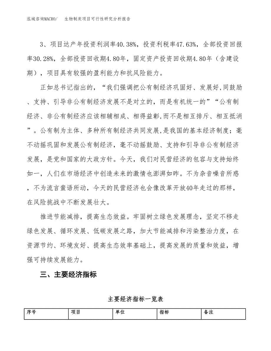 项目公示_生物制炭项目可行性研究分析报告.docx_第5页