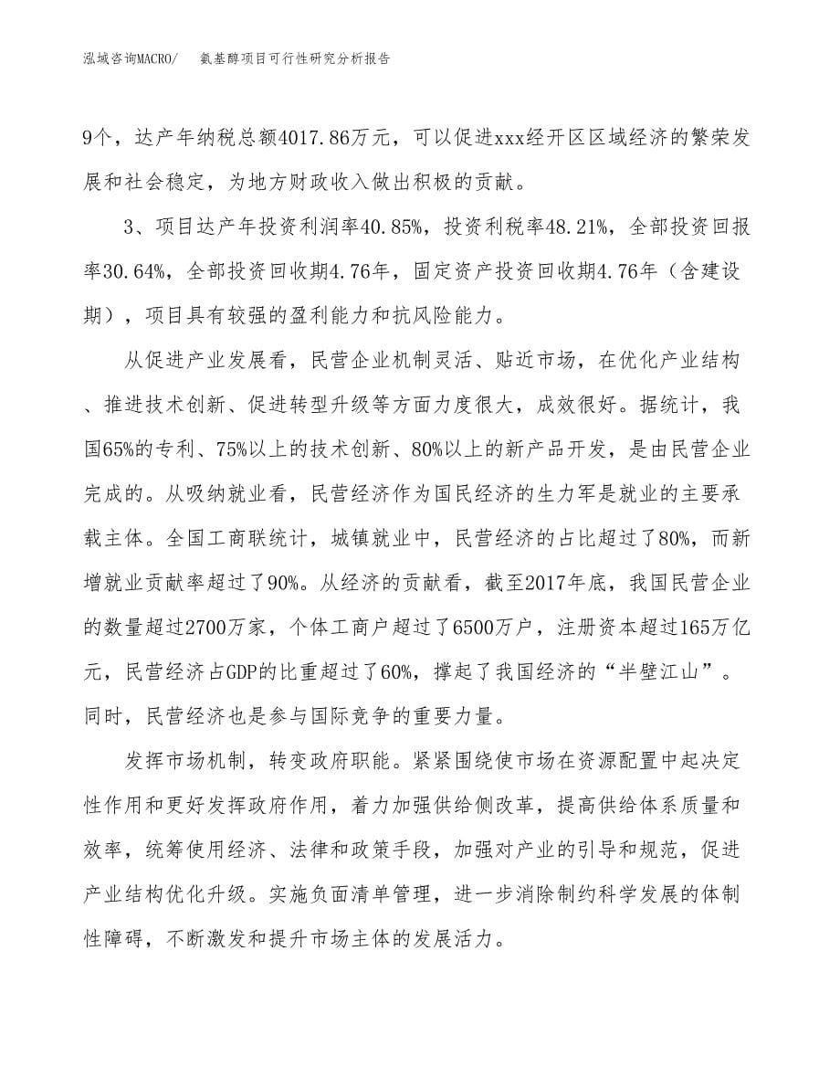 项目公示_氨基醇项目可行性研究分析报告.docx_第5页