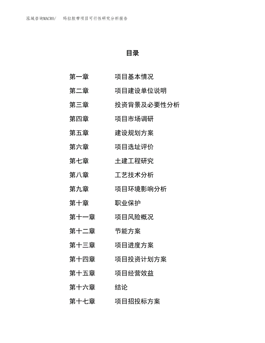 项目公示_玛拉胶带项目可行性研究分析报告.docx_第1页