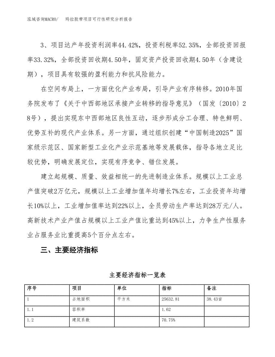 项目公示_玛拉胶带项目可行性研究分析报告.docx_第5页