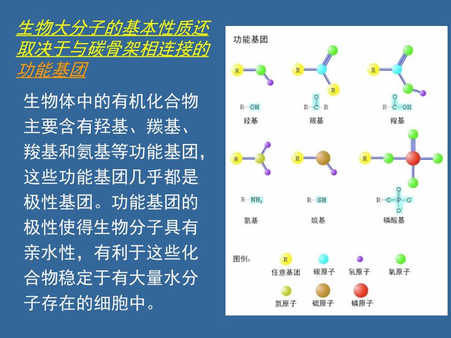 普通生物学04生命的基本化学组成_第4页