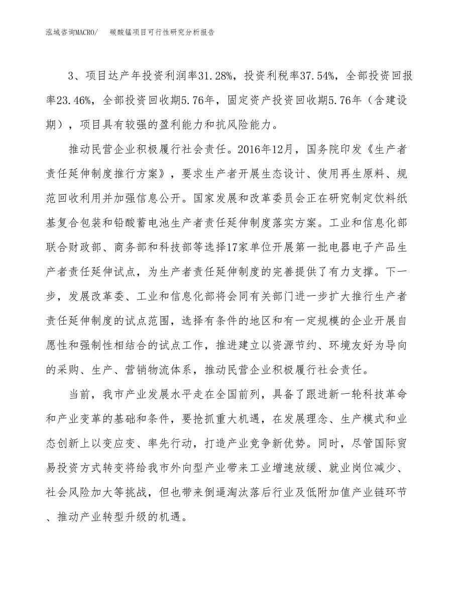 项目公示_碳酸锰项目可行性研究分析报告.docx_第5页