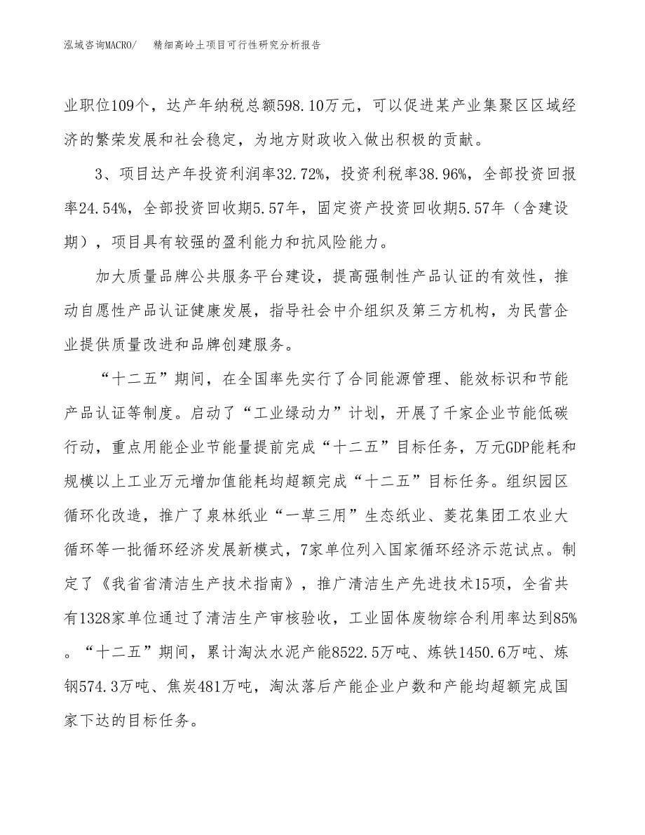 项目公示_精细高岭土项目可行性研究分析报告.docx_第5页