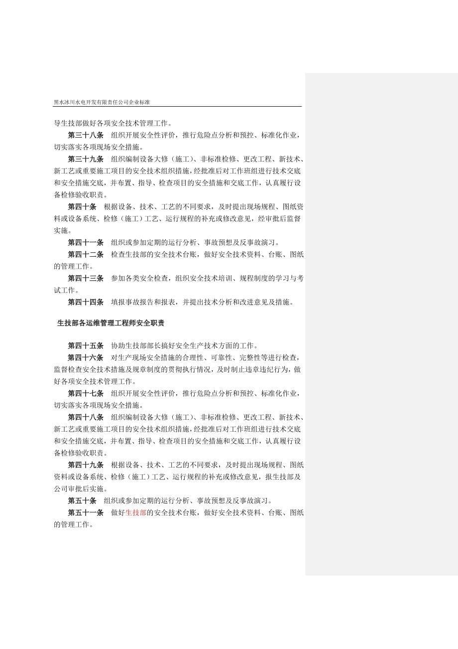 某水电开发有限责任公司安全管理标准_第5页