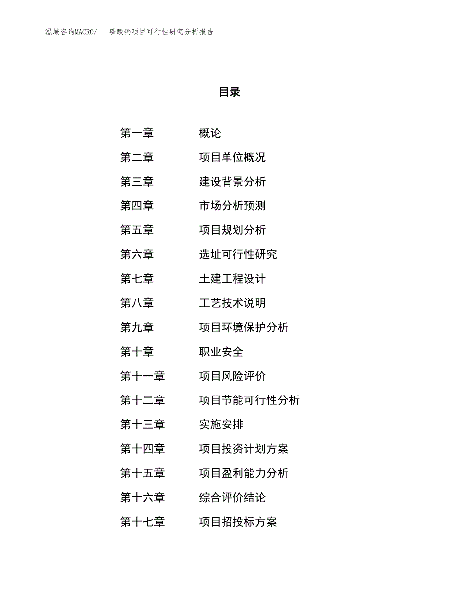 项目公示_磷酸钙项目可行性研究分析报告.docx_第1页