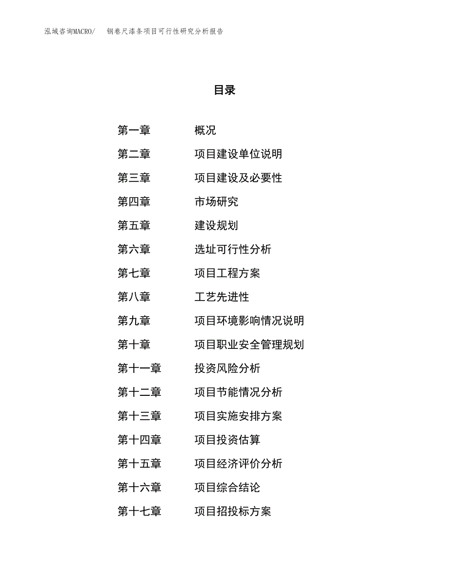 项目公示_钢卷尺漆条项目可行性研究分析报告.docx_第1页