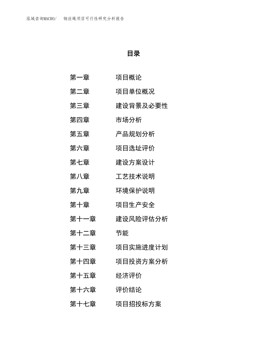 项目公示_钢丝绳项目可行性研究分析报告.docx_第1页