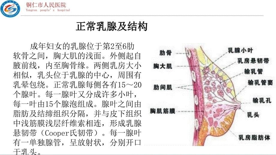 乳腺规划化检查及BI-RADS分类，2018年乳腺共识.ppt_第5页