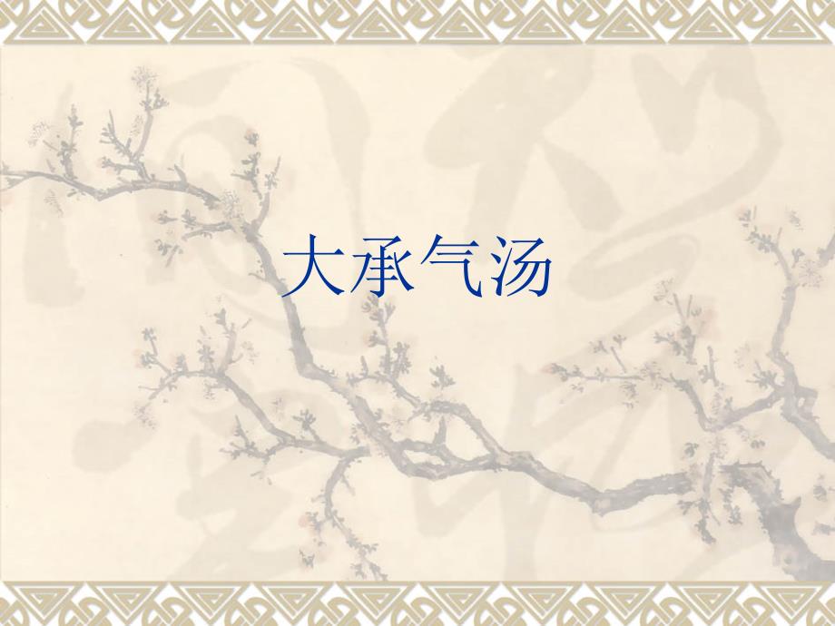 六经用药之承气汤_第1页