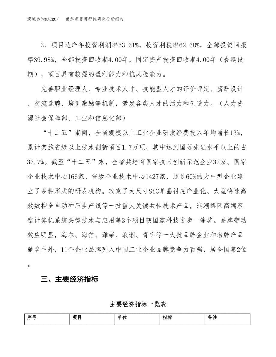 项目公示_磁芯项目可行性研究分析报告.docx_第5页