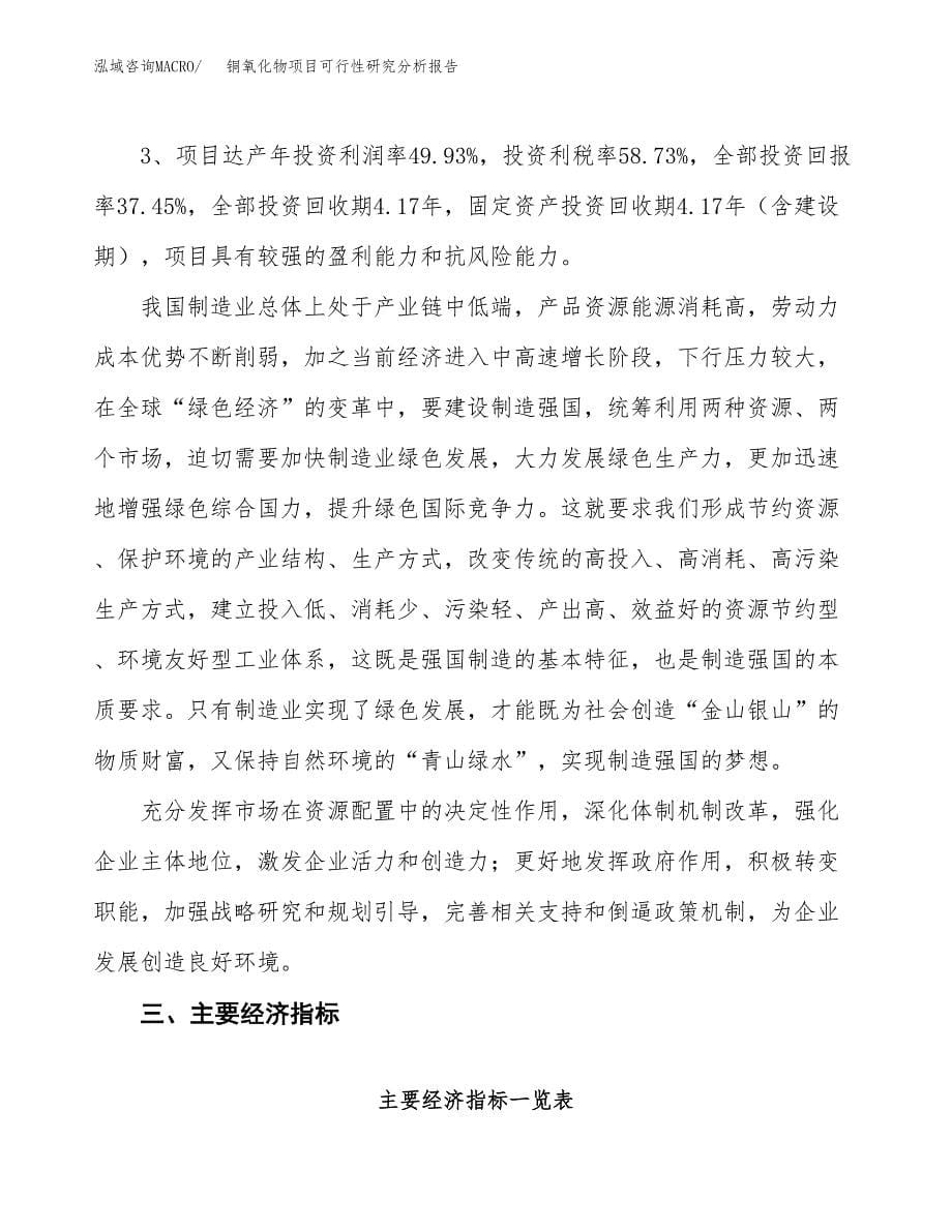 项目公示_铜氧化物项目可行性研究分析报告.docx_第5页