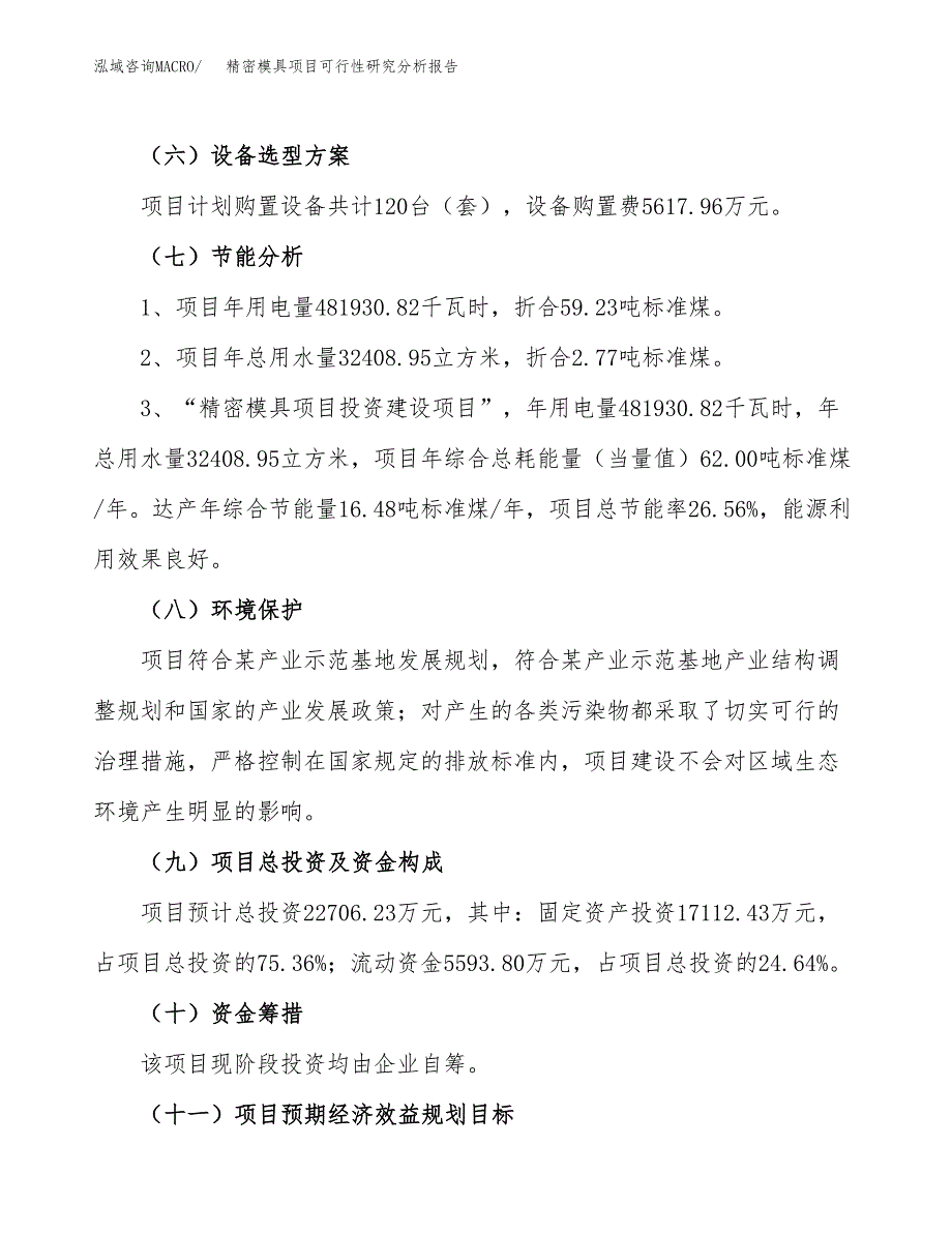 项目公示_精密模具项目可行性研究分析报告.docx_第3页