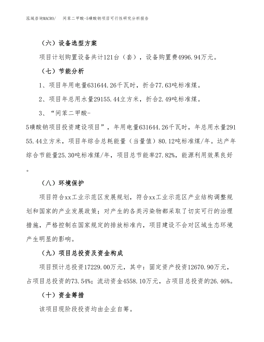 项目公示_间苯二甲酸-5磺酸钠项目可行性研究分析报告.docx_第3页