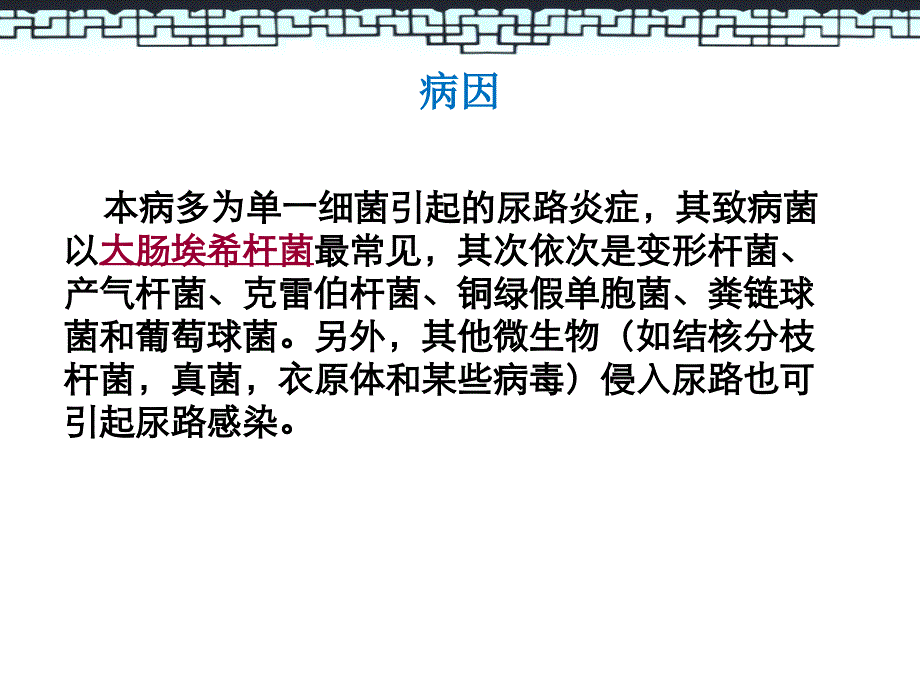 尿路感染的护理查房课件_第4页